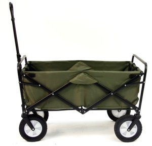 Folding Collapsible Wagon